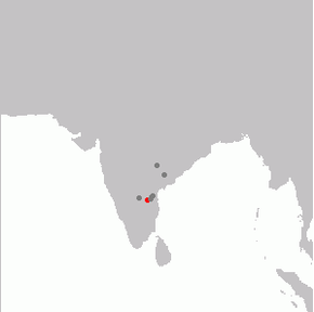 Rhinoptilus bitorquatus range.png resminin açıklaması.