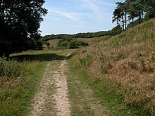 Ringstead Downs - geograph.org.uk - 204286.jpg