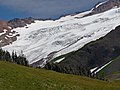 Roosevelt Glacier