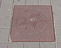 Star on Canada's Walk of Fame for the comedy troupe Royal Canadian Air Farce