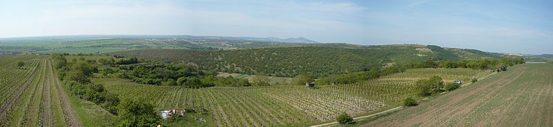 File:Rozhledna Kravi hora - panorama.jpg