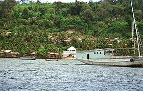 Vista da costa de Run Island.