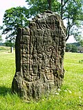 Thumbnail for Södermanland Runic Inscription 239