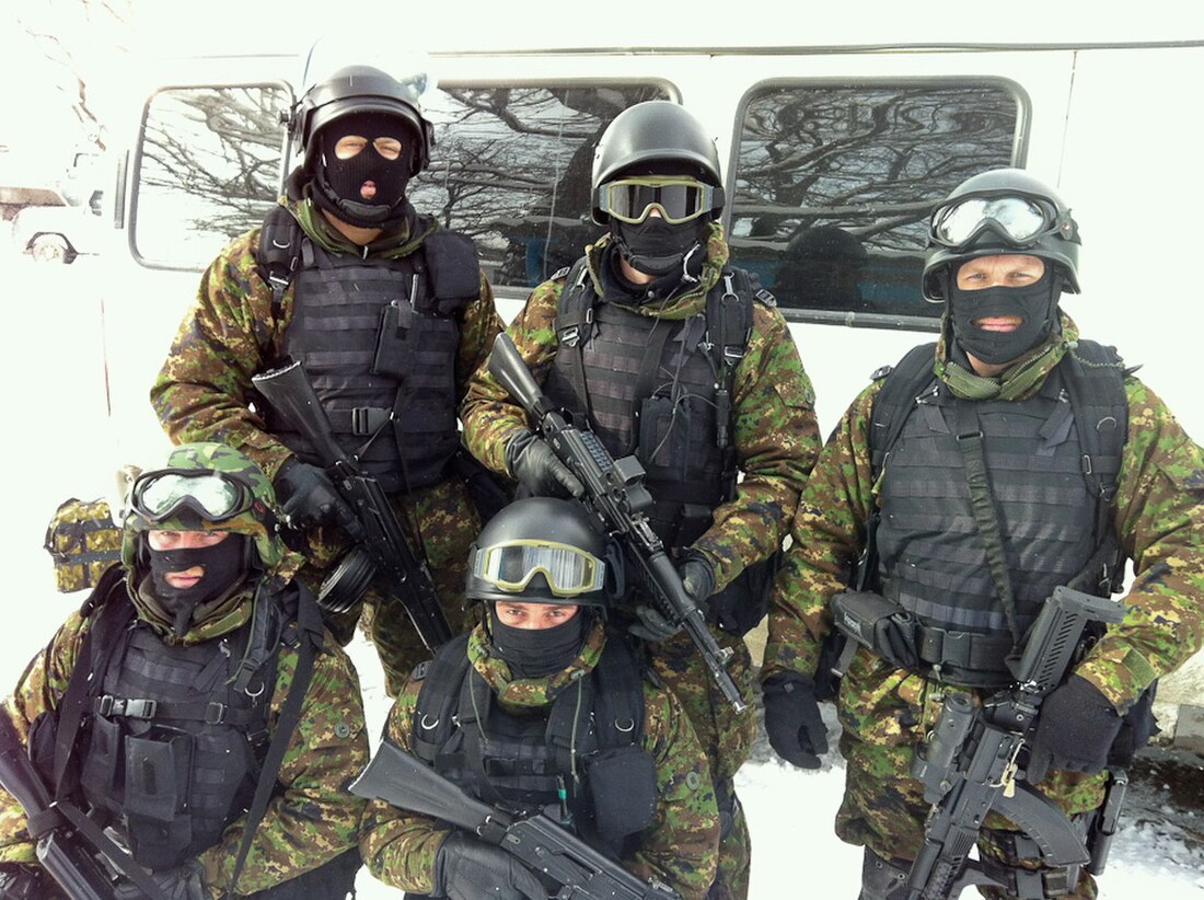 Russiske specialstyrker (Spetsnaz)