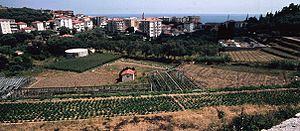 Miniatura per San Lorenzo al Mare