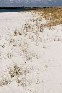 Wilmington Beach, North Carolina unincorporated area in North Carolina, United States