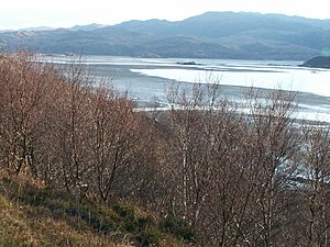 Sand and mud flats in Kentra Bay. This shot taken from the north edge is looking due south across the whole square.