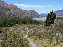 Hiking trail in Torres del Paine Sendero (torres del paine).jpg