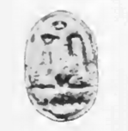 Tập_tin:Sewadjenra_Scarab_Petrie.png