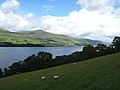 Sheep, rich pasturelands and beautiful Loch Tay - geograph.org.uk - 3062813.jpg