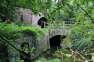 <span class="mw-page-title-main">Newton-by-Tattenhall</span> Human settlement in England