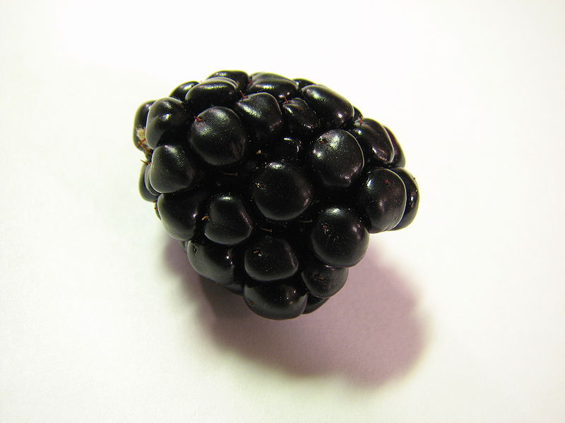 File:Single blackberry.jpg