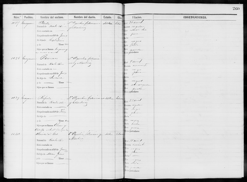 File:Slave Schedules for District 6, Guayama - NARA - 63813756 (page 19).jpg
