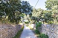 Small street on Silba island, Croatia (48670522057).jpg