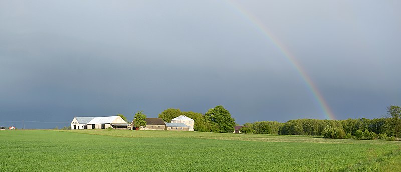 File:Smogorówka Dolistowska - rainbow.JPG