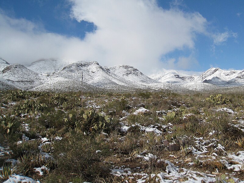 File:Snow Franklin Mountains El Paso Texas Dec 01 2009 IMG 1859.JPG