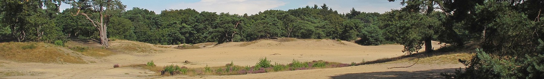 সবচেয়ে সুন্দর উইকিভ্রমণ ব্যানার.জেপিজি