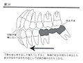 2010年7月22日 (木) 02:18時点における版のサムネイル