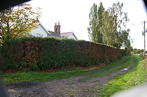 South Duffield Gate Halt Crossing Keepers Cottage (география 5931924) .jpg