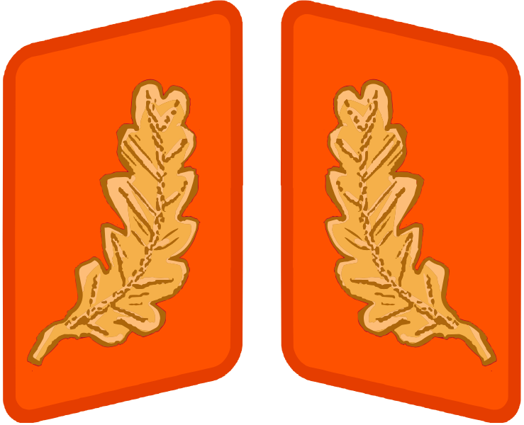 File:Stellvertreter-Gauleiter.svg