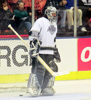 <span class="mw-page-title-main">Stéphane Fiset</span> Canadian ice hockey player