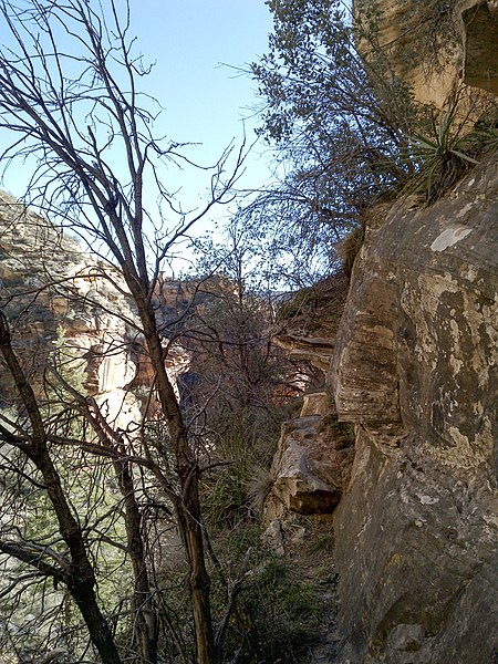 File:Sterling Pass Trail To Vultee Arch Trail, Sedona, Arizona, Coconino County - panoramio (47).jpg