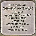 Stolperstein for Abraham Grynbaum (Mol) .jpg