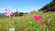 伊予三島市のサムネイル