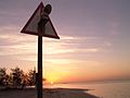 Sunset Signal light . - panoramio.jpg