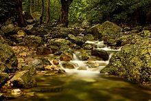 Water flowing downhill