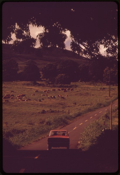 File:THE HANA AREA OF MAUI IS MOSTLY PRIME AGRICULTURAL LAND AND IS NOT IMMEDIATELY THREATENED BY DEVELOPMENT. IT IS ONE... - NARA - 554070.tif