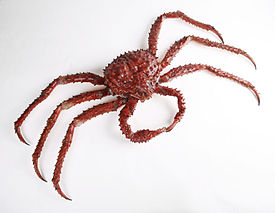 The Childrens Museum of Indianapolis - Alaskan red king crab.jpg