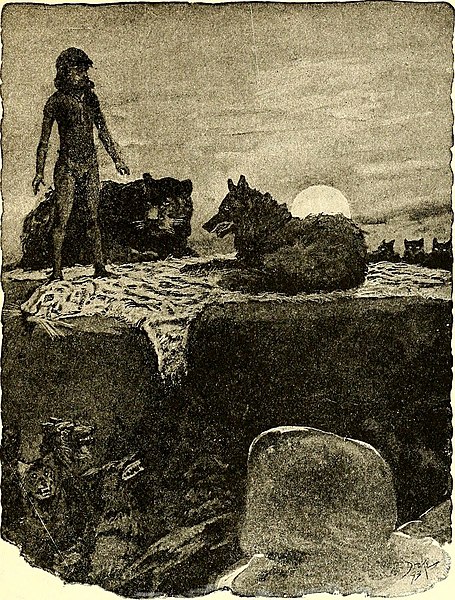 Mowgli, Bagheera, and the wolf pack with Shere Khan's skin. Illustration by W. H. Drake. First edition, 1894