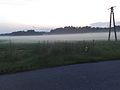 The road between Curyn and Rowiny, the evening fog - panoramio.jpg