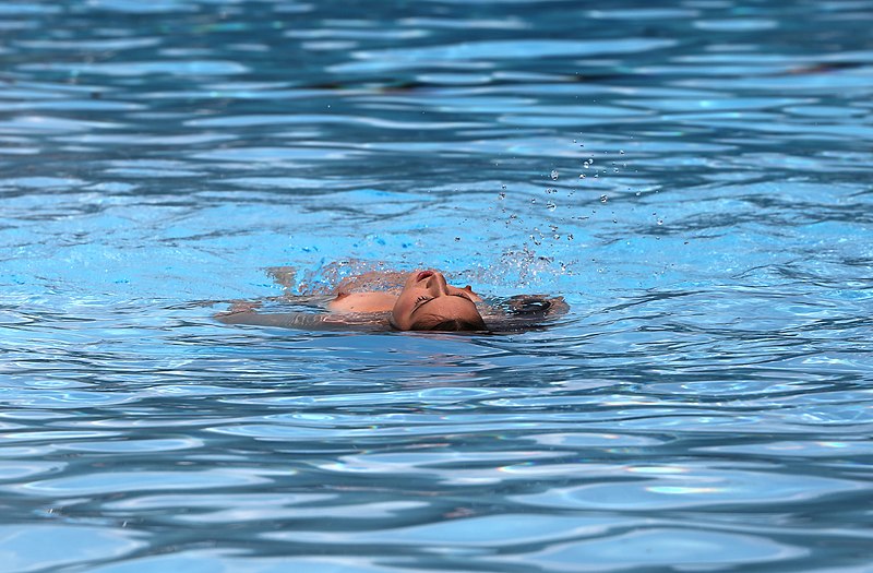 File:Tilly McReese NAP 2014 Pool.jpg