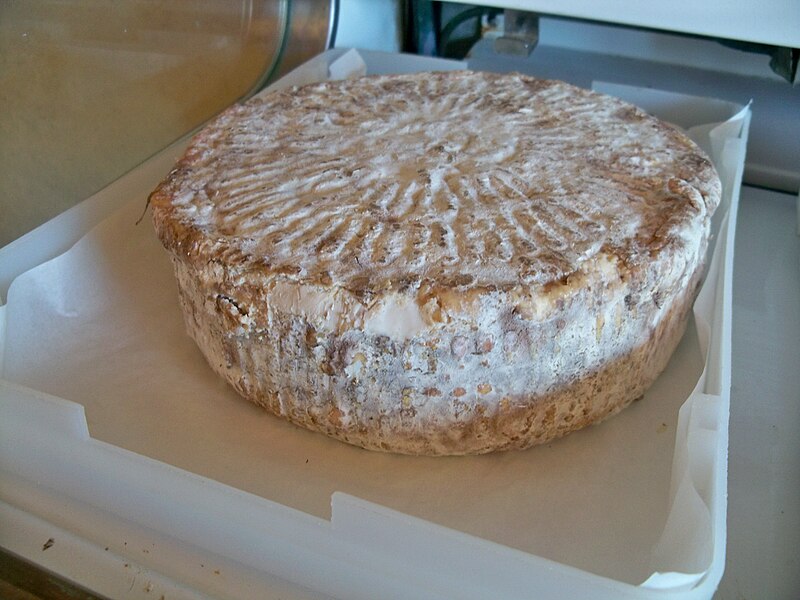 File:Tomme des Anglars.jpg