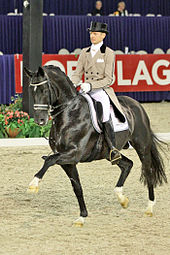A stallion with a proven competition record is one criterion for being a suitable sire. Totilas.jpg