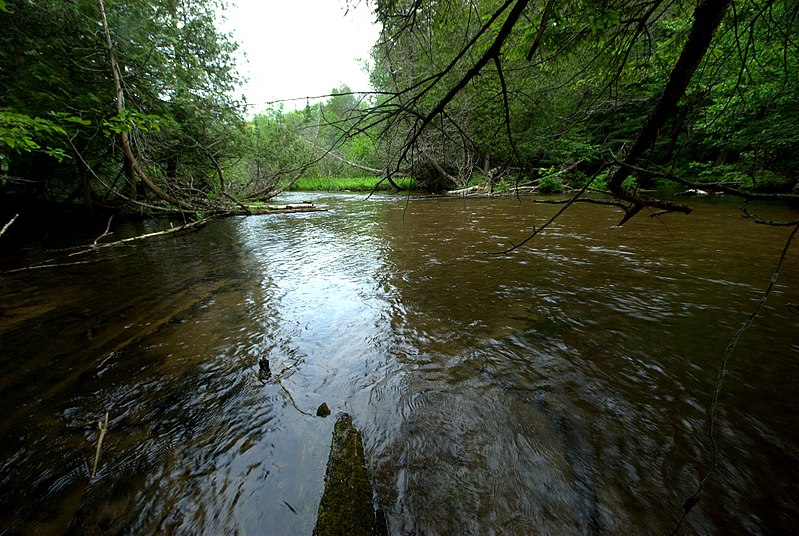 File:Trout River.jpg