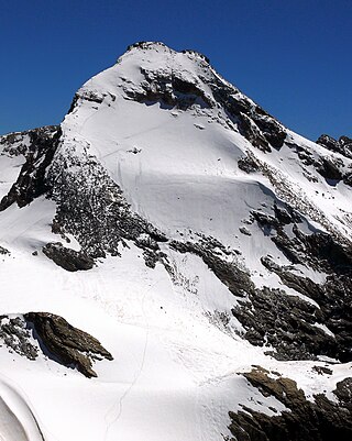 <span class="mw-page-title-main">Tsanteleina</span> Mountain in Italy