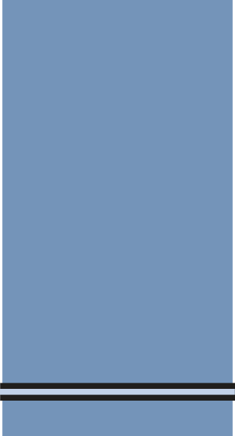 Insigne de grade de Acting pilot officer (porté sur les épaules).
