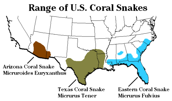 The range of the Eastern Coral Snake, the venemous model of the Scarlet Kingsnake. Over 60% of the mimic's range is allopatric, extending as far north as Virginia