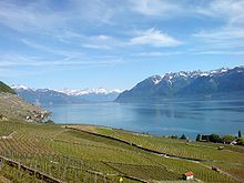 Lavaux vineyards near Riex Vineyards.jpg