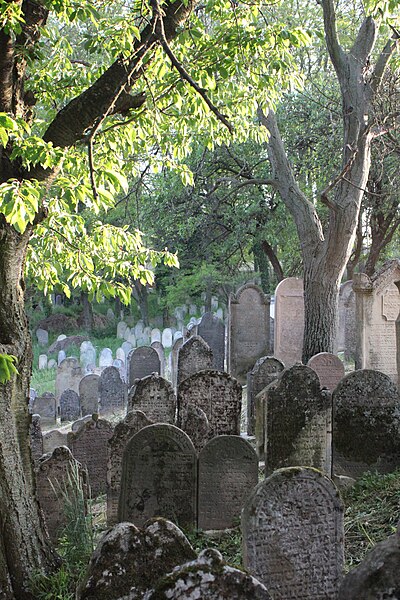 File:Vrbové židovský cintorín.JPG