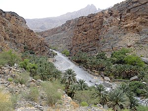 Wadi an Nakhur