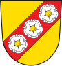 Blason de Riedenburg