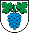 Wappen von Thalheim