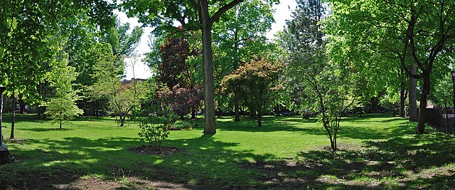 A grassy area with tall trees leaving shadows from the sun above. In the distance are small rowhouses, and a street is at the right.