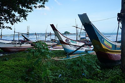 Les pirogues à balancier sur la plage de Weligama, Matara_District .- Sri Lanka .- Asie du Sud