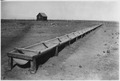 Wells. An excellent type of trough for watering sheep. This trough is 200 ft. long, an dis giving a stockman on this... - NARA - 298374.tif