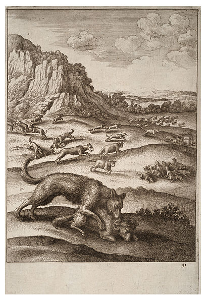 Wenceslas Hollar - The wolves and the sheep